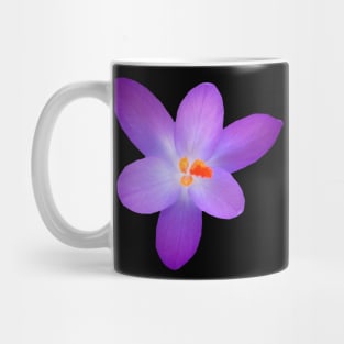 purple, crocus, violet, crocuses, spring flowers Mug